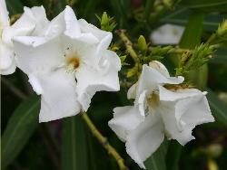 Image: Trevor James © Trevor James 